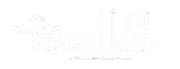 header_logo